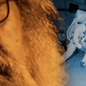 Imagen para el artículo titulado No, el documental en el que Kubrick admite que la llegada a la Luna fue un montaje no es real